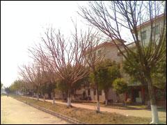 ��������ŵ����5310XM��Ħ��E8�Ա�(9)