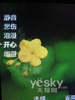 ���糱��ר������ʱ��3G�ֻ�K660i����(5)