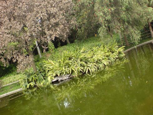 510���������ᰮ����SO905iCS����(10)