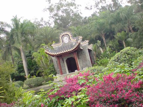 510���������ᰮ����SO905iCS����(10)