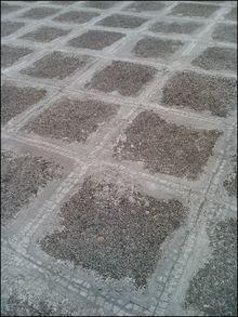����ָ��ʶ��ʿͨ�����ֻ�F905i����(5)