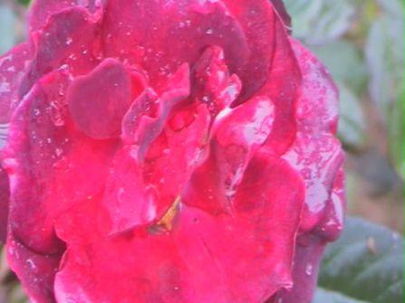 混合存储的震撼三星VP-DX10详细评测(12)