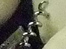 ߶̬5XDCʿF100fd(12)