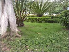 ֧������ʶ������500������U908����(7)