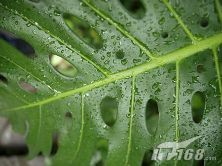 f2.0��Ȧ��׼���°�14-35mm��E3ʵ��(4)