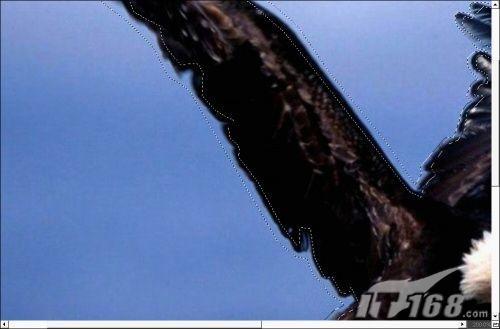 引入图像分割技术轻松换背景2.0新版体验