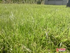 左右为难行水差价最大拍照手机汇总(4)