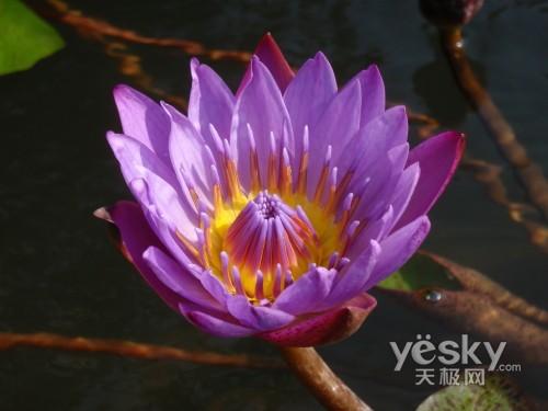 便携三防新突破奥林巴斯μ1030SW评测(32)