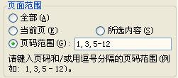 ����Ļ��ӡ��Word���߼���ӡ����ר��