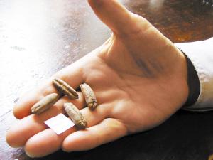 ��ѧ����2000�����ӳɹ���ѿ(ͼ)