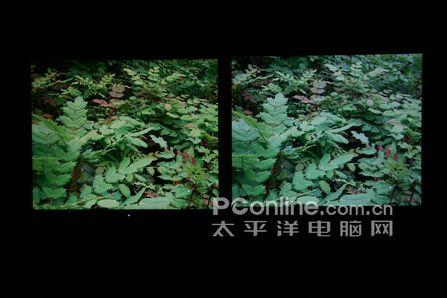 遍地都是1299元11款市售主流19宽液晶横评(5)