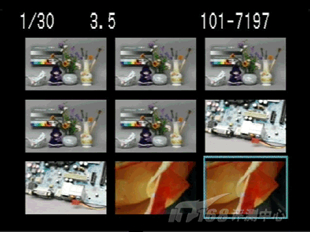 入门单反成长的烦恼佳能EOS450D评测(5)