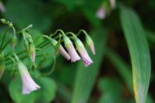 ��ǧ��ԪԲ�㵥�������ŵ�������ϸѡ