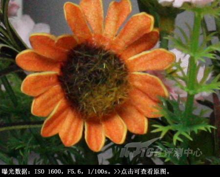 ���ŵ����ɳ��ķ��ռ���EOS450D����(11)