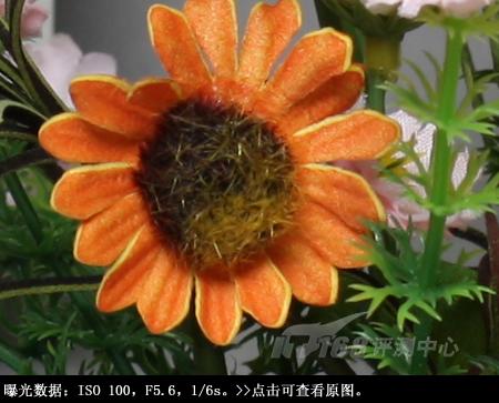 ���ŵ����ɳ��ķ��ռ���EOS450D����(10)