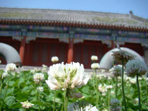 性能不输入门单反索尼15倍长焦H50评测(6)