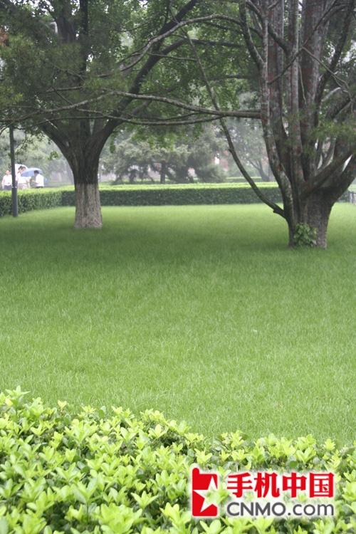 天语C800与数码相机实拍对比(7)