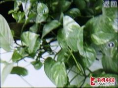����Ц������OPPOʱ�����ֻ�A103����(4)