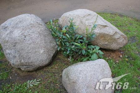 挑战单反索尼爱立信C905对比索尼α200(4)