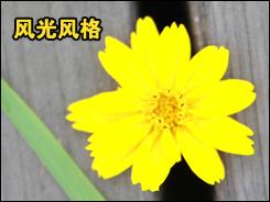 用机宝典佳能中端单反相机40D用机指南(2)