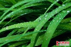 624MHz处理器黑莓全键盘商务9000评测(3)