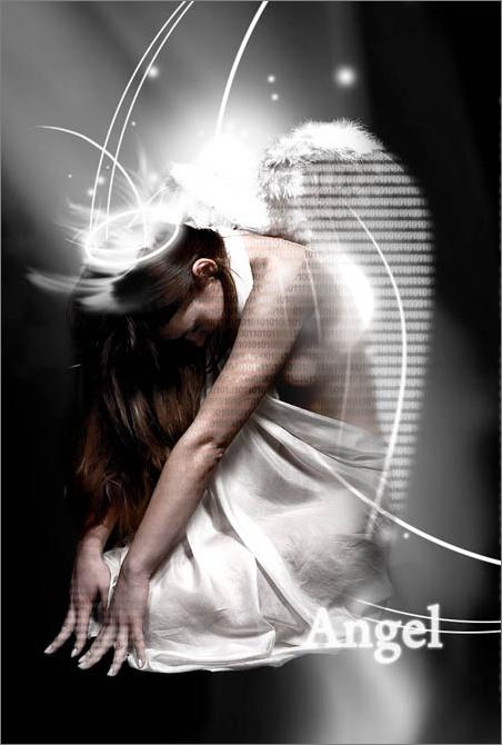 Photoshop̳̣ʹ(5)