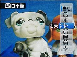 当广角长焦遇上高清富士S2000HD评测(10)