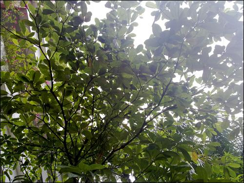 ŵ����N79ȫ������(8)