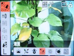 A系列的革新佳能新品A1000IS评测(5)