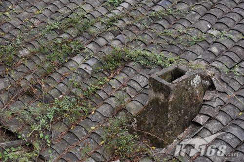 防抖维他命腾龙28-300mmVC实用评测(10)