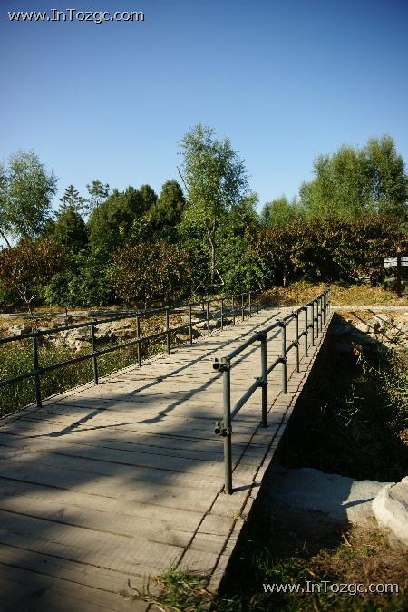 用圆明园的风景说话索尼全幅α900评测(12)