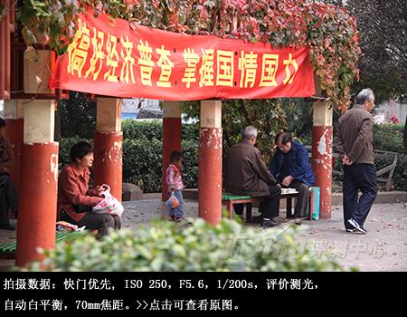从细节处呈现美丽佳能单反EOS50D评测(11)