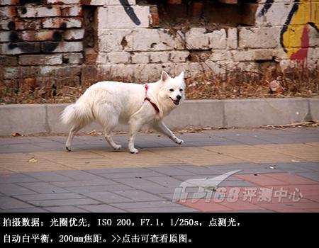 从细节处呈现美丽佳能单反EOS50D评测(11)