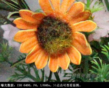 从细节处呈现美丽佳能单反EOS50D评测(8)