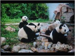 专业与艺术结合索尼全幅单反α900评测(8)