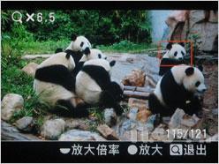 专业与艺术结合索尼全幅单反α900评测(8)