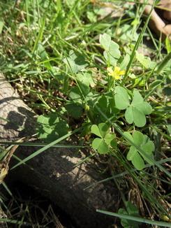 不一样的潮流风尚DC5x光变三星蓝调NV9详细评测