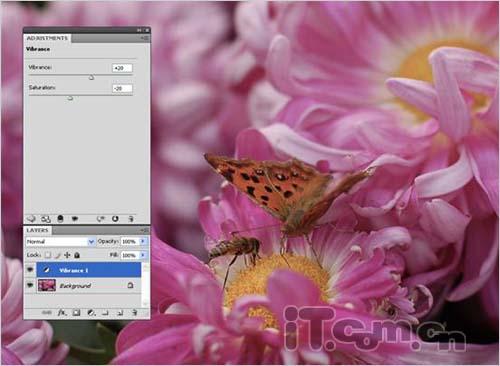 ʢAdobePhotoshopCS4¹ܸ(2)