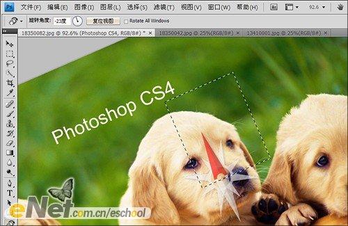 ߽Adobe Photoshop CS4