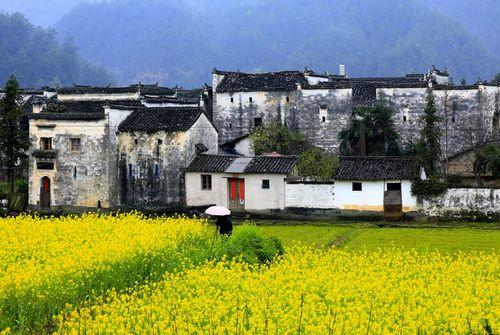 ������԰ʫ����Դ����5D��Ӱ��Ʒ��(4)