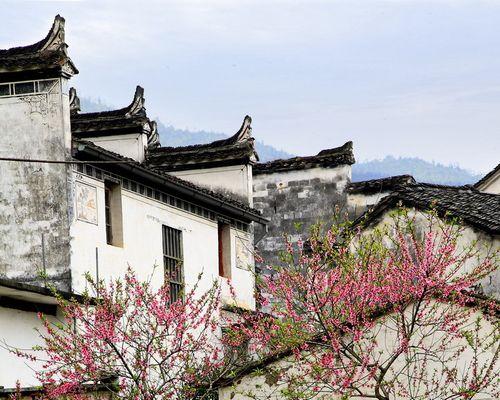 ������԰ʫ����Դ����5D��Ӱ��Ʒ��(5)