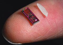 认准英特尔 凌动轻薄 上网本掀起热潮_笔记本