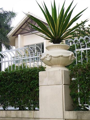 高速连拍便携长焦优秀理光CX1详尽评测(10)