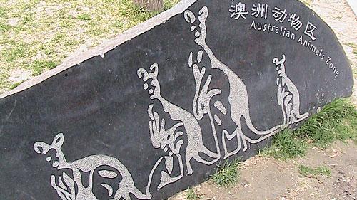 轻盈体态承载丰富功能佳能FS21评测(6)