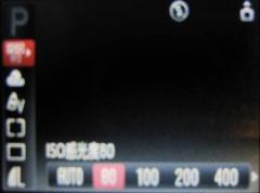 光影随行走一路入门级佳能A1100IS评测(3)