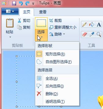 用Windows 7中的画图工具一键裁切图片_软件