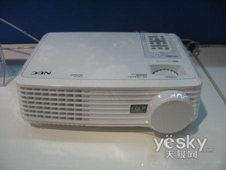 ��ĩ���������������ͶӰ��������Ԫ��