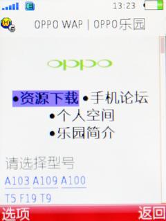 金属时尚魅力OPPO首款滑盖机A201评测(5)