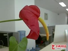 500万像素诺基亚TD滑盖手机6788评测(6)