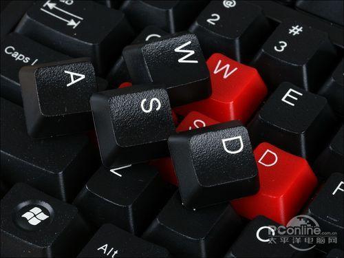 3019565208.jpg